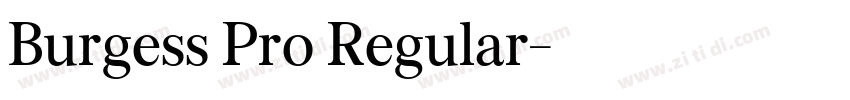Burgess Pro Regular字体转换 Burgess Pro Regular字体转换